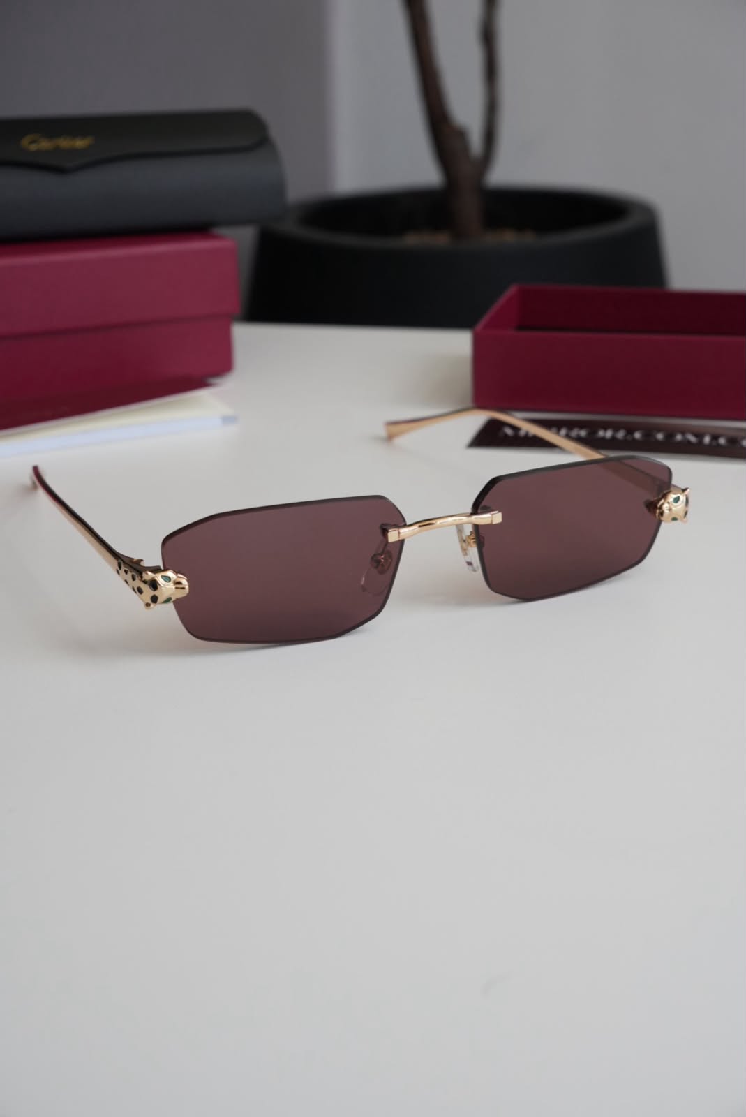 Gafas Cartier