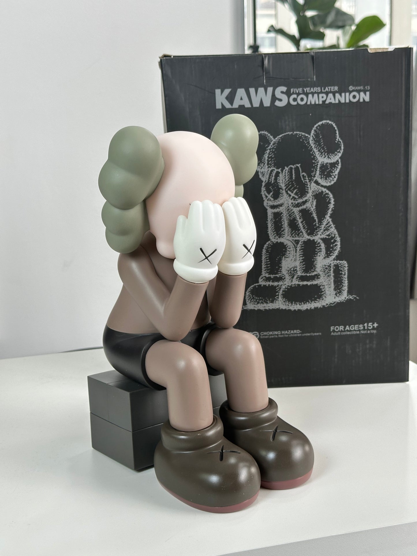 Kaws passing through 29 cm
