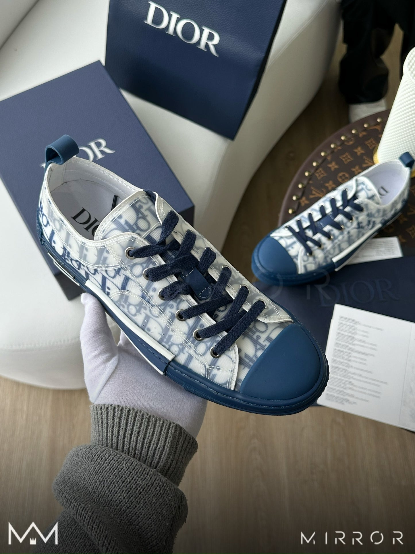 DIOR B23 low top