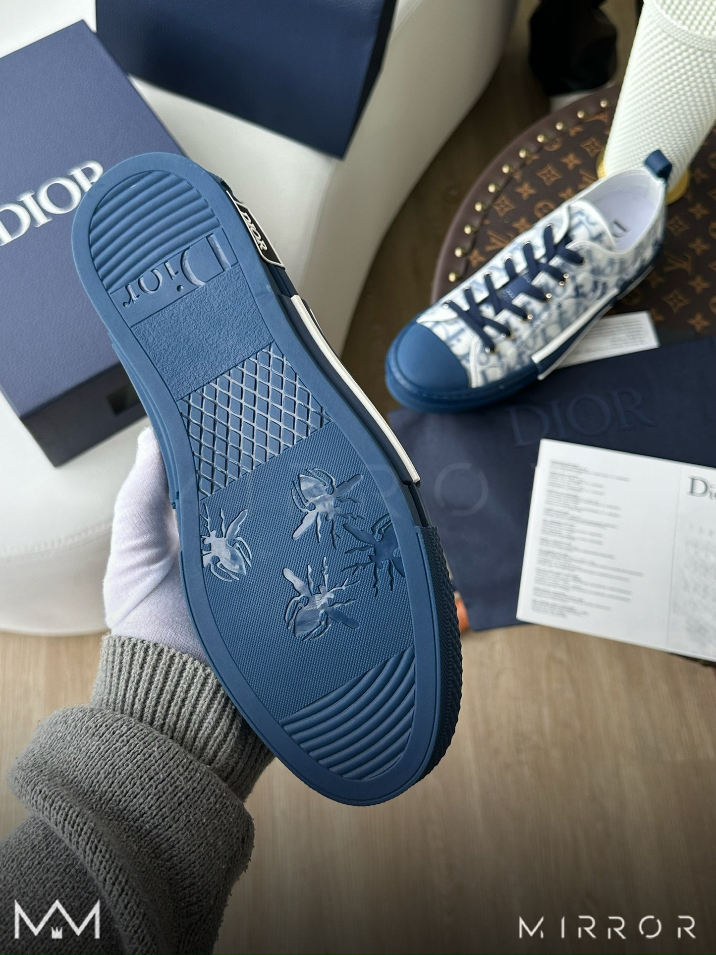 DIOR B23 low top