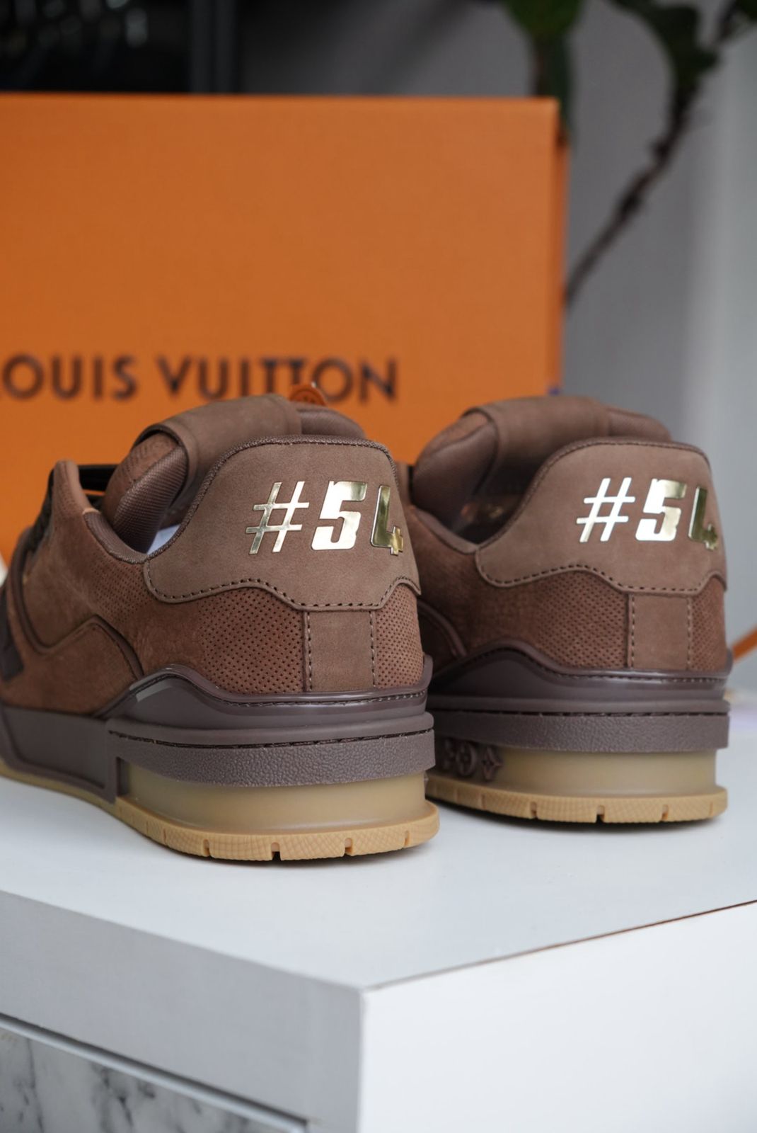 LV Trainer