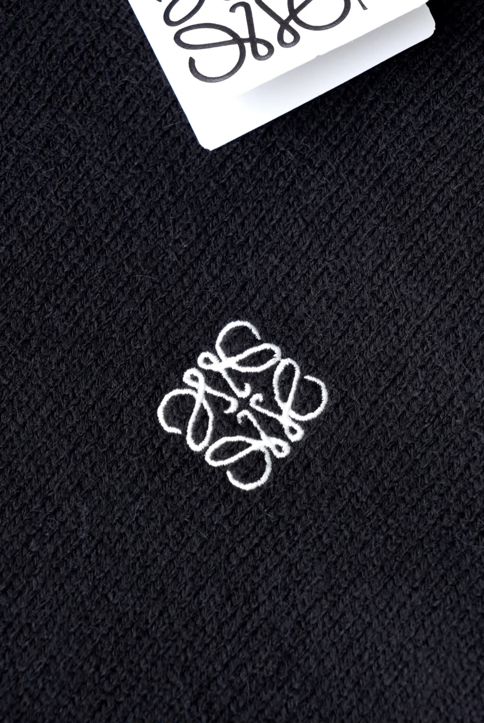 Hoodie Loewe