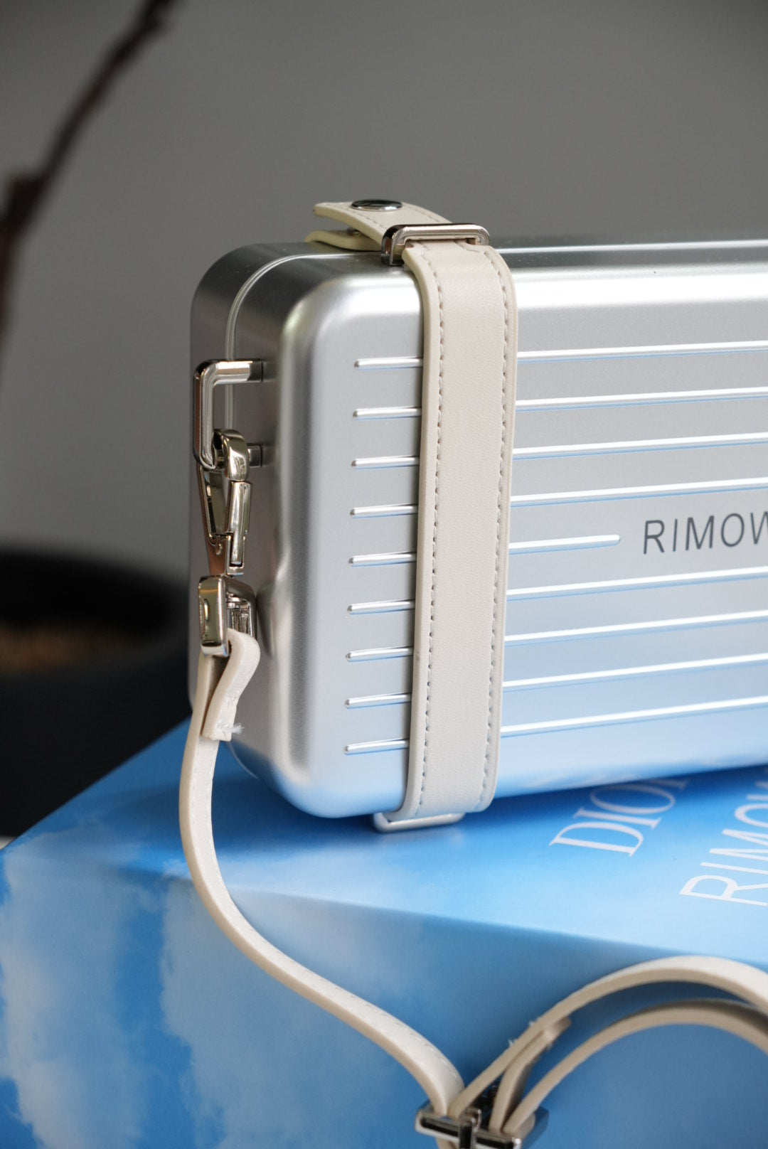 RIMOWA x DIOR bag