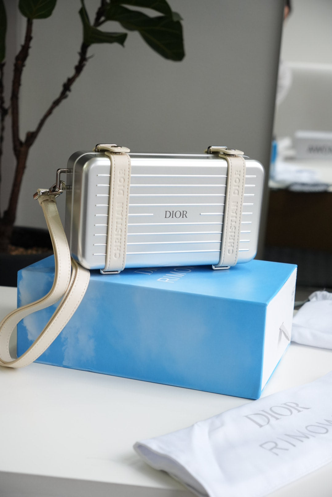 RIMOWA x DIOR bag