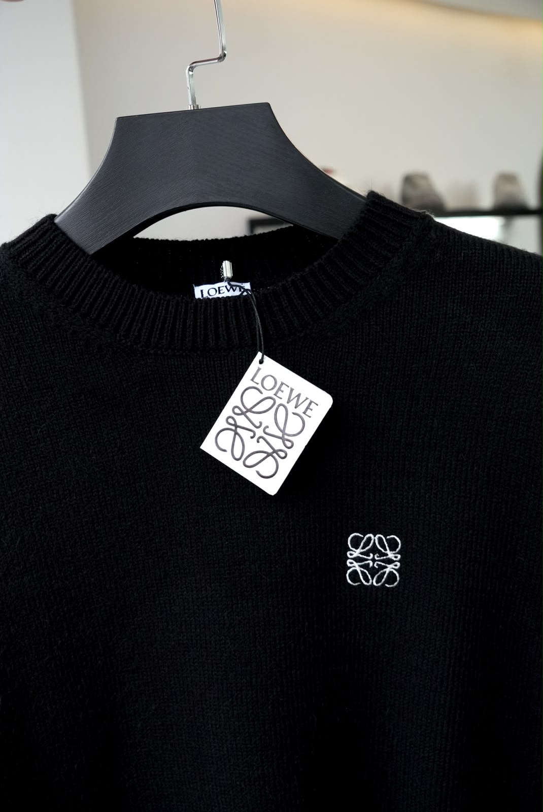Hoodie Loewe