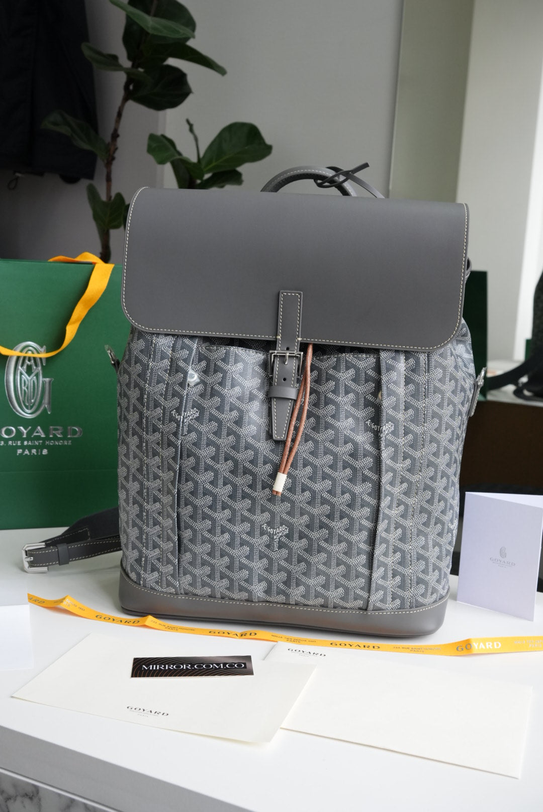 Goyard backpack