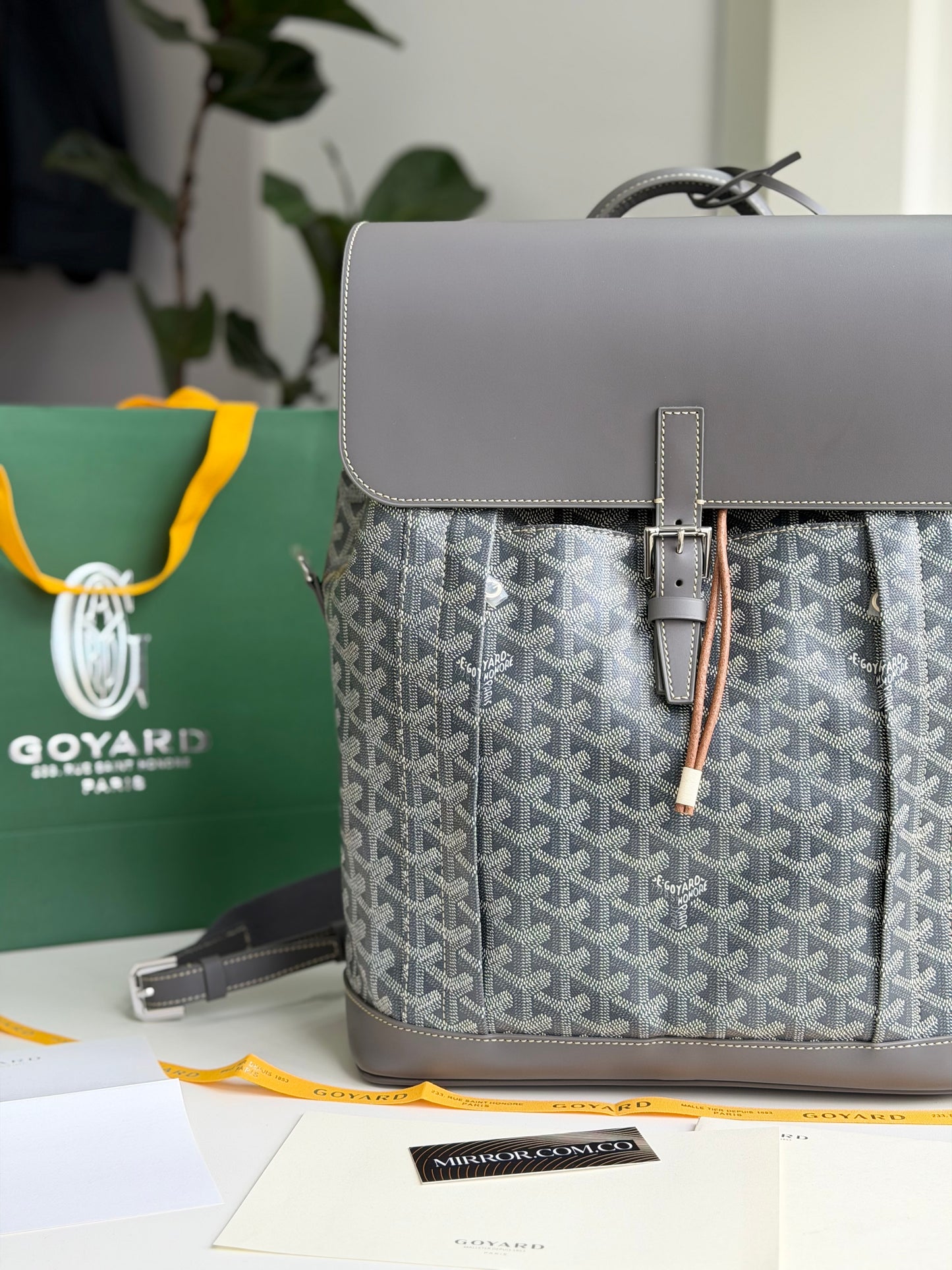 Goyard backpack
