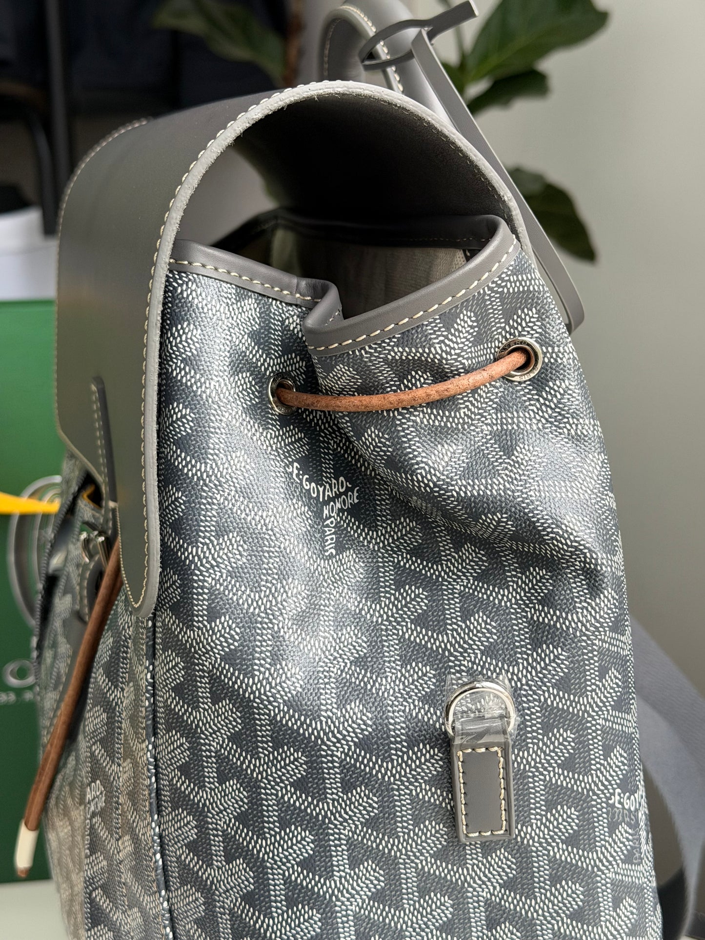 Goyard backpack