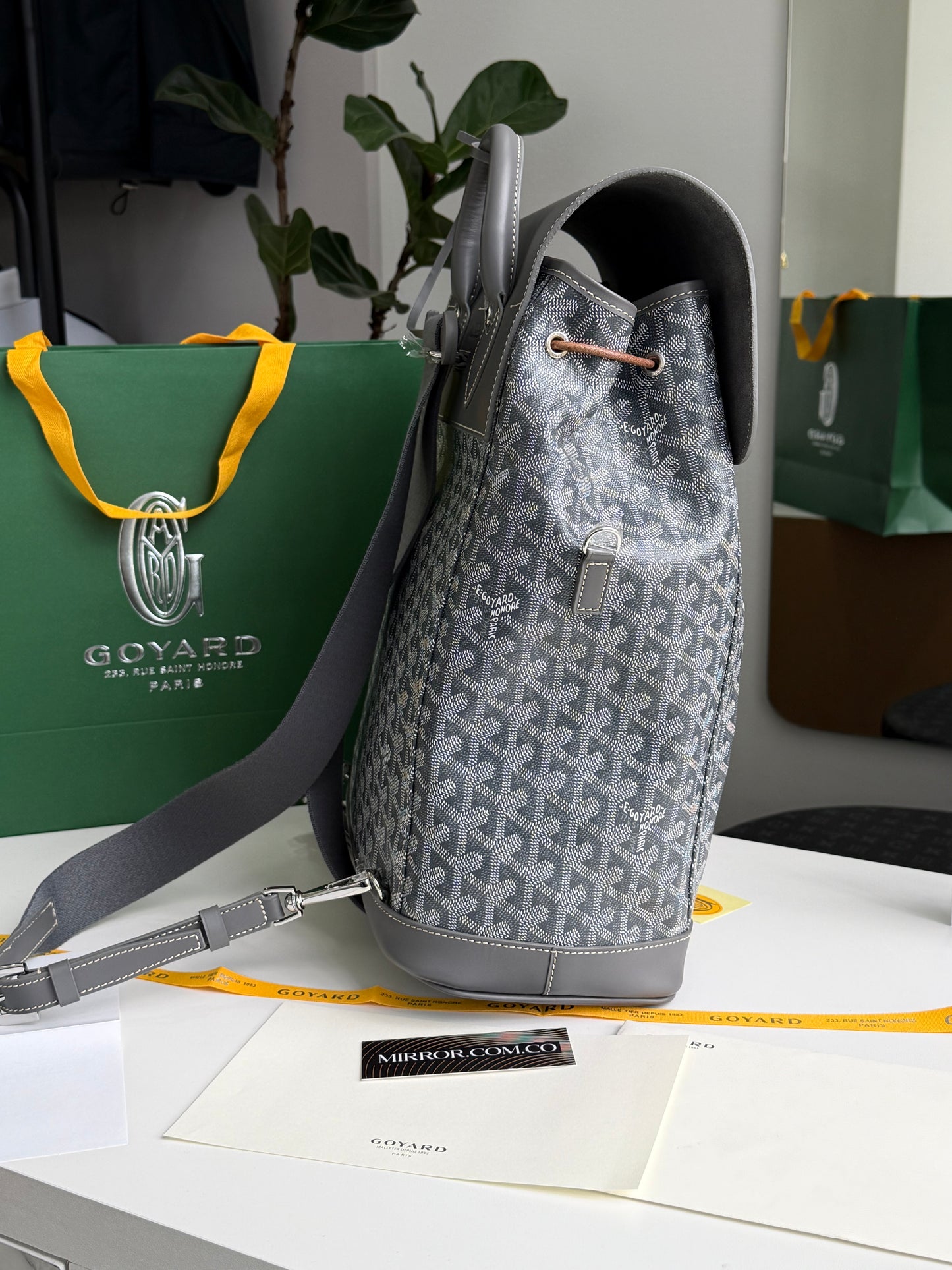 Goyard backpack
